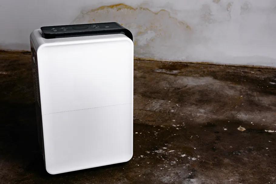 Best Dehumidifiers for 2025: Buyer’s Guide for Home, Work & Flood Recovery