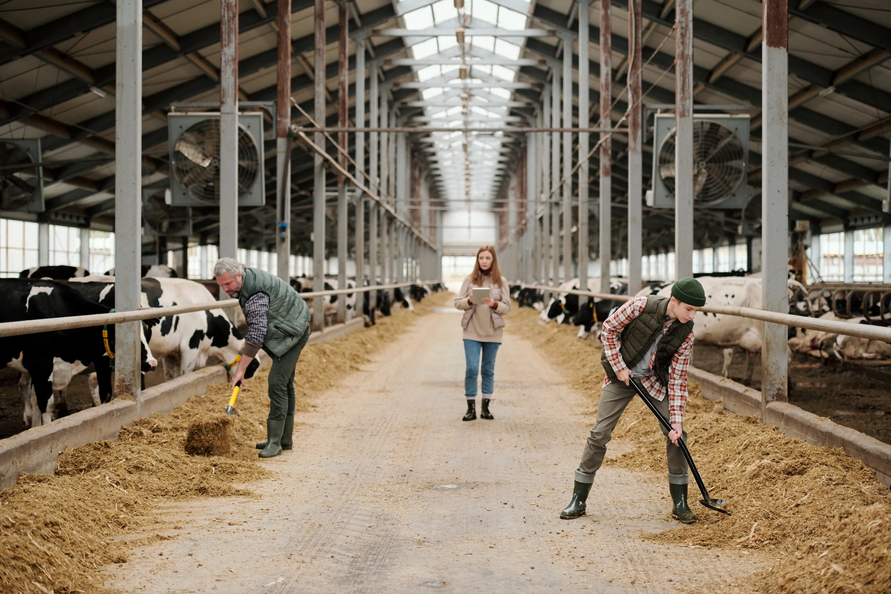 Agricultural Heaters: Keeping Farms Warm Through Winter