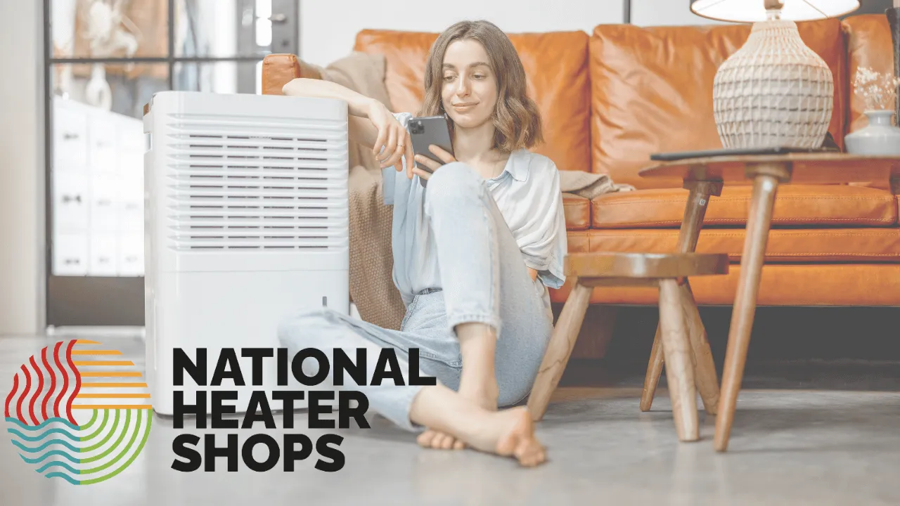 Everything you need to know about dehumidifiers