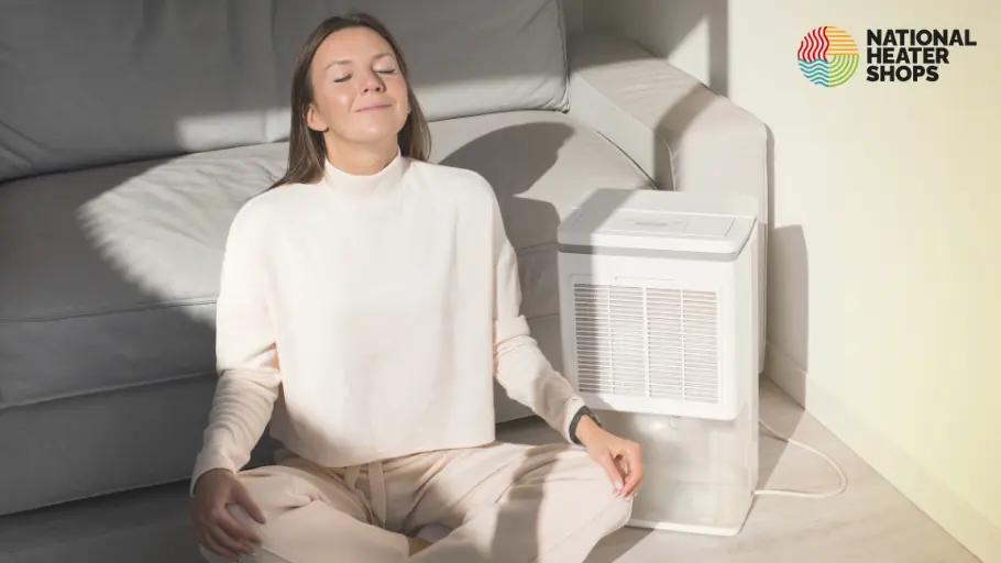 Dehumidifier in a living room