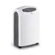 REMKO ETF 320 Eco Mobile Dehumidifier