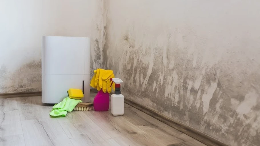 Dehumidifier in damp corner of room